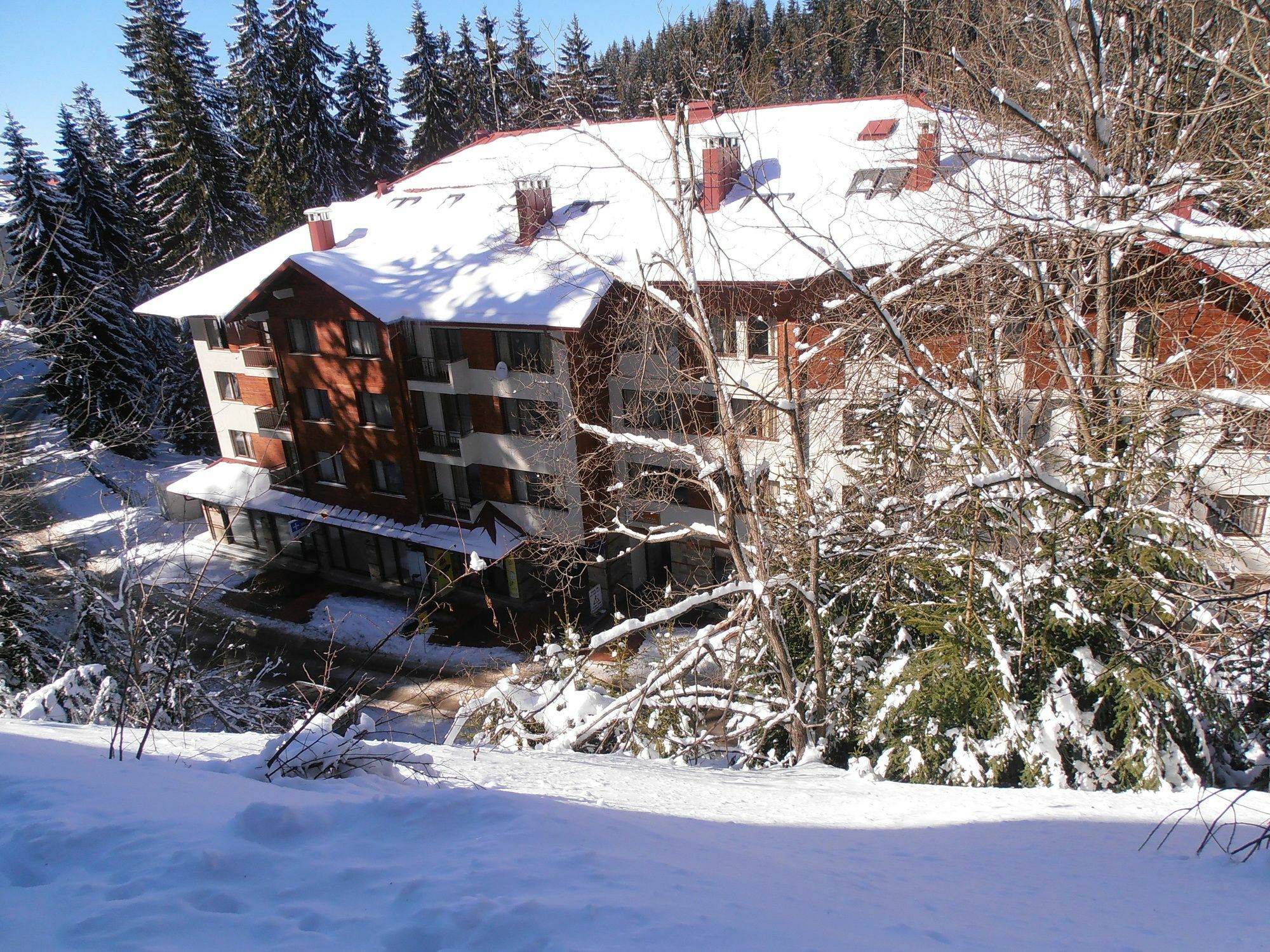 Royal House Apartments Tmf Pamporovo Extérieur photo