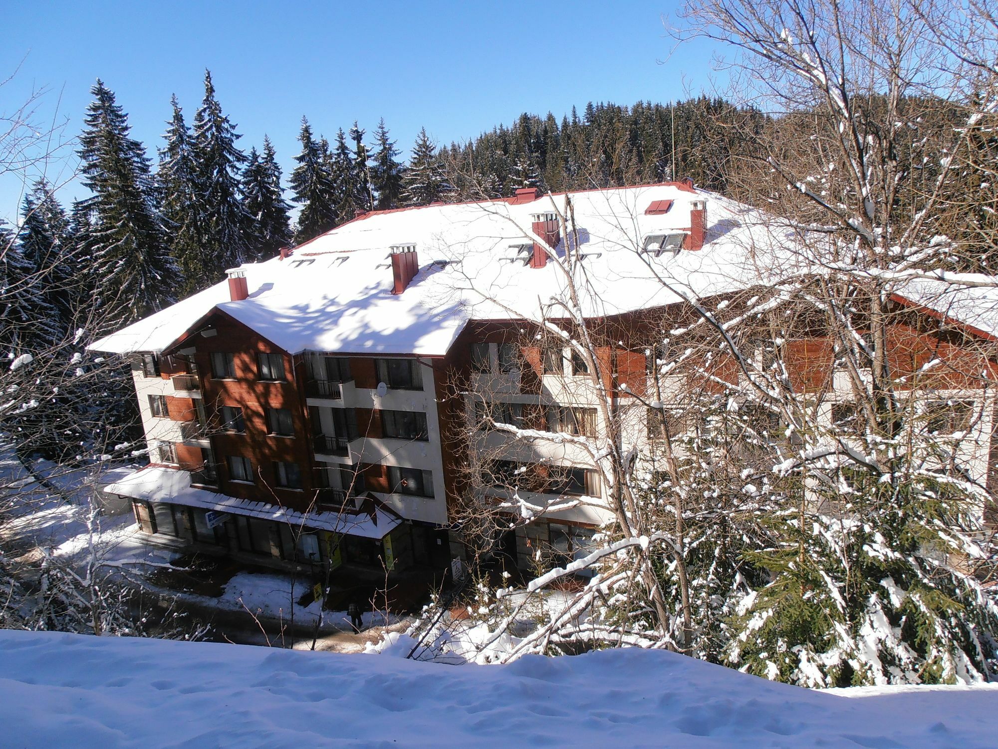 Royal House Apartments Tmf Pamporovo Extérieur photo